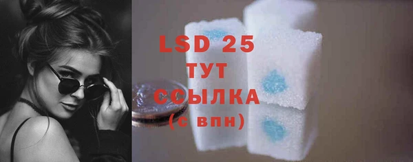 ГАЛЛЮЦИНОГЕННЫЕ ГРИБЫ Балахна