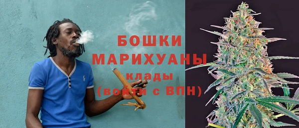 твердый Протвино