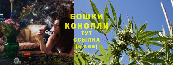 ГАЛЛЮЦИНОГЕННЫЕ ГРИБЫ Балахна